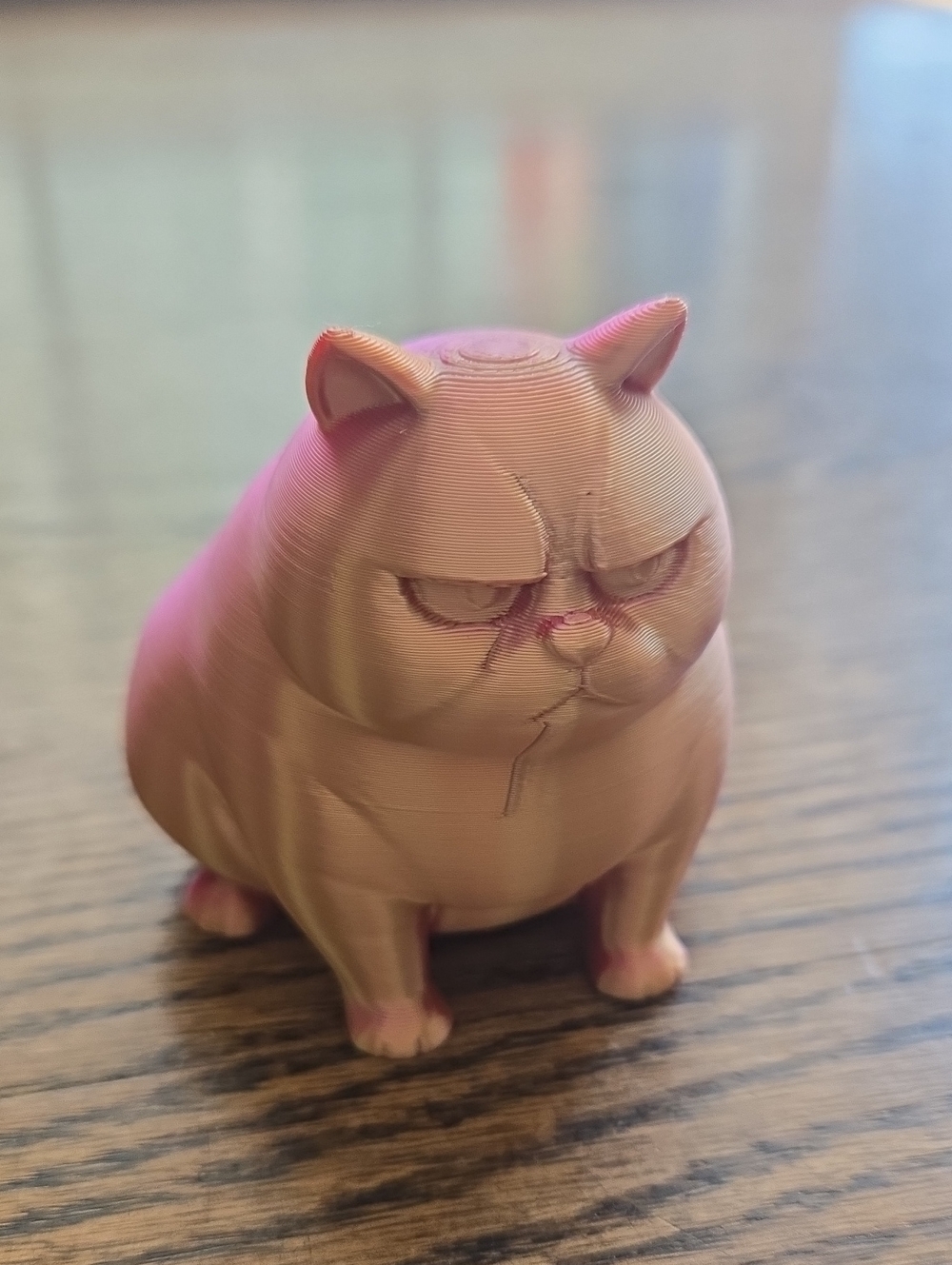 3D Printed Grumpy Cat